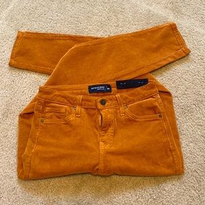 Just Black Denim Burnt Orange Corduroy Pants